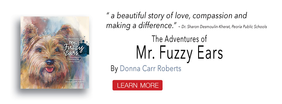 The Adventures of Mr. Fuzzy Bear